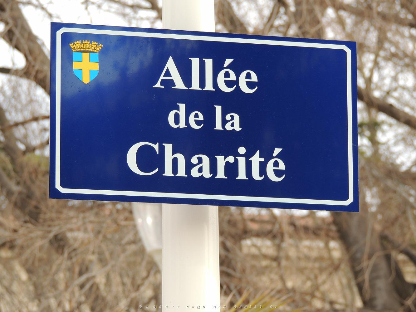 42 Allee de la Charite.JPG -           